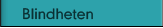 Blindheten